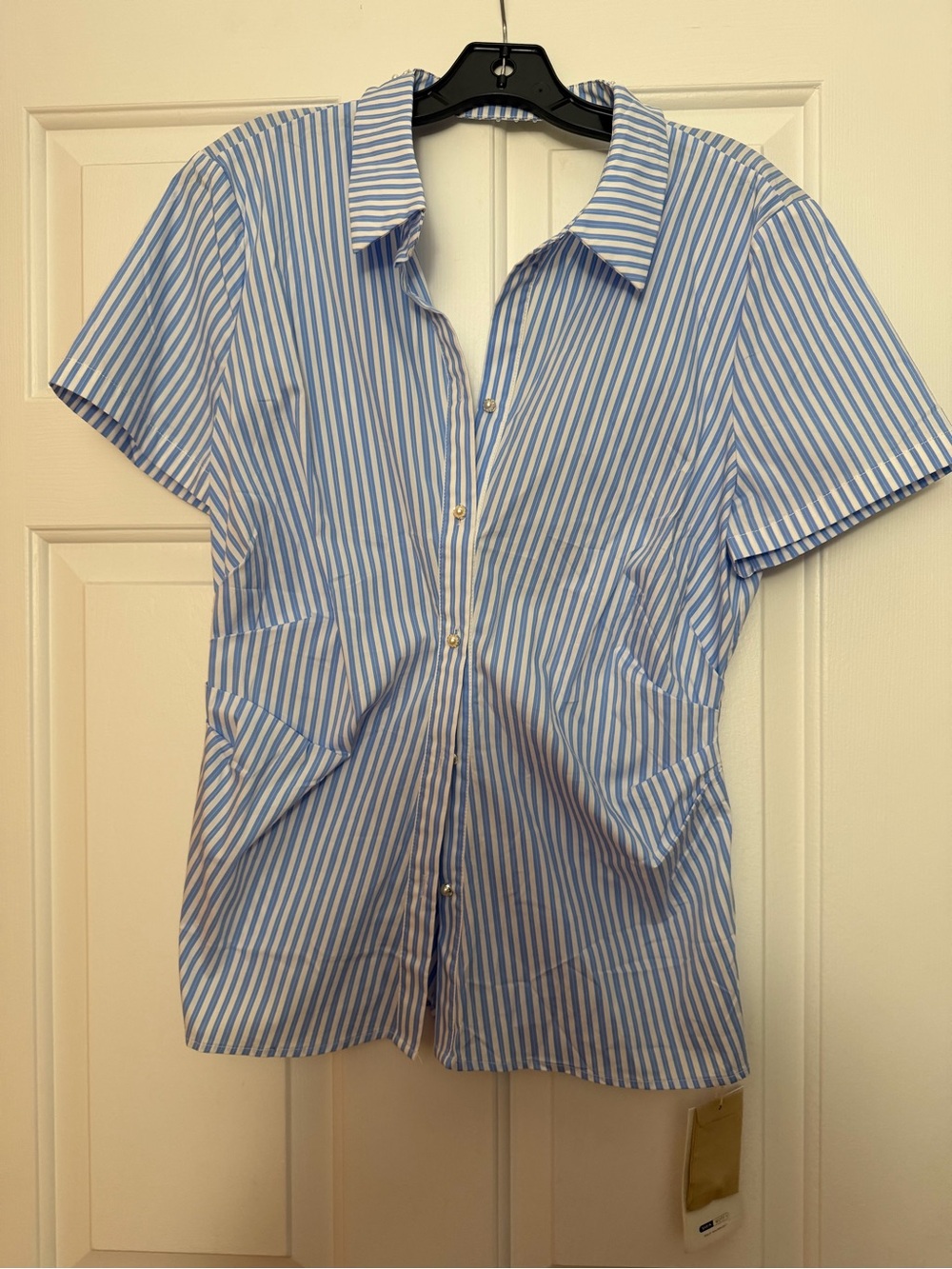 SHEIN Blue and White Vertical Stripe Short-Sleeve Button-Down Shirt